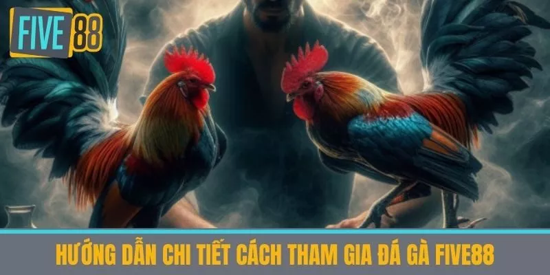 Hướng dẫn chi tiết cách tham gia Đá gà Five88