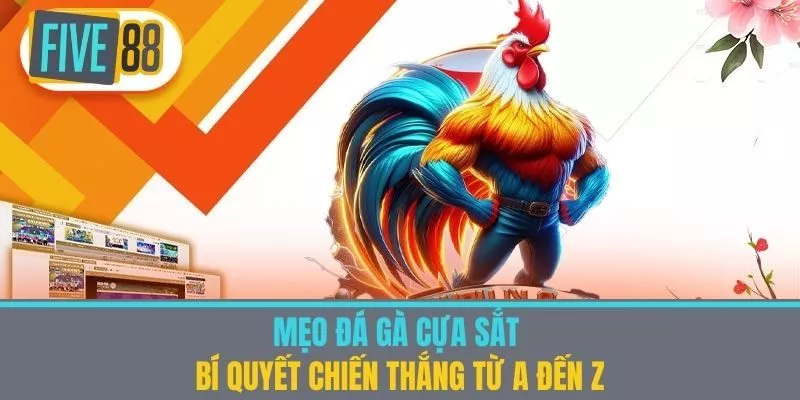 Mẹo Đá Gà Cựa Sắt - Bí Quyết Chiến Thắng Từ A Đến Z