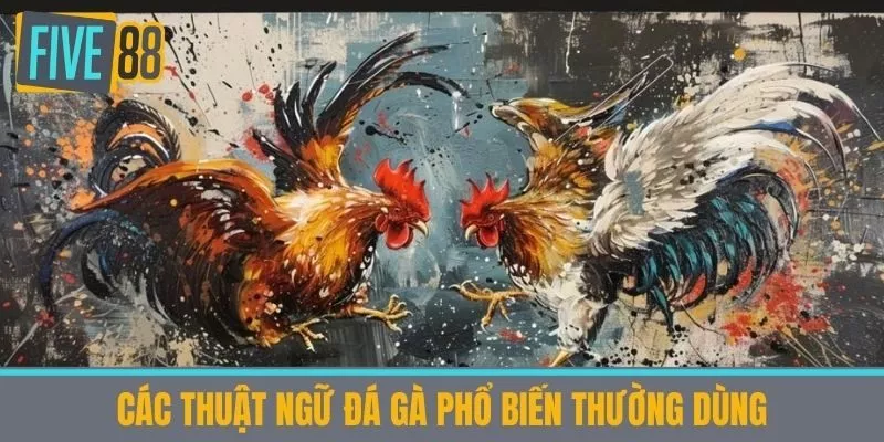Các Thuật ngữ đá gà phổ biến thường dùng