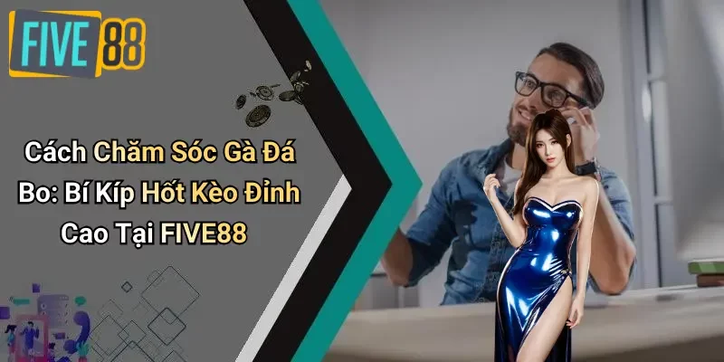 Cách Chăm Sóc Gà Đá Bo: Bí Kíp Hốt Kèo Đỉnh Cao Tại FIVE88
