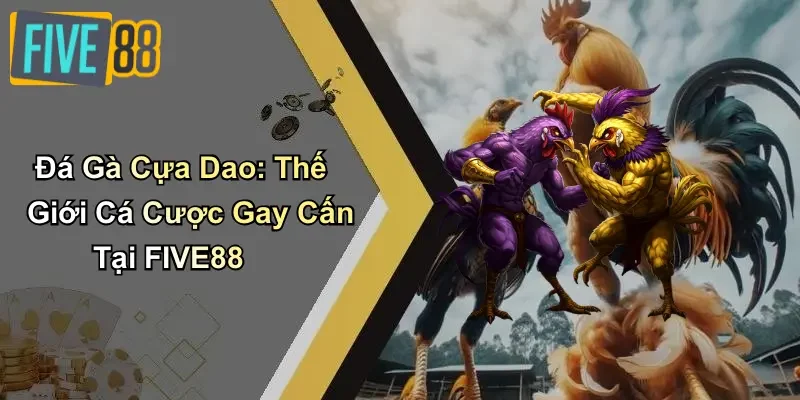 Đá Gà Cựa Dao: Thế Giới Cá Cược Gay Cấn Tại FIVE88