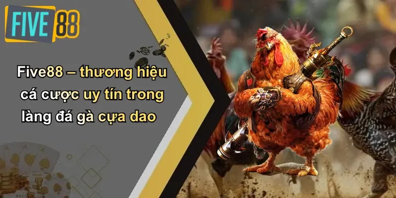 Five88 – thương hiệu cá cược uy tín trong làng đá gà cựa dao