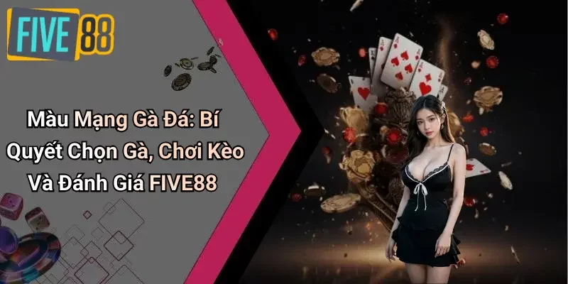Màu Mạng Gà Đá: Bí Quyết Chọn Gà, Chơi Kèo Và Đánh Giá FIVE88