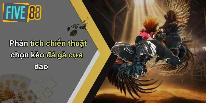 Phân tích chiến thuật chọn kèo đá gà cựa dao